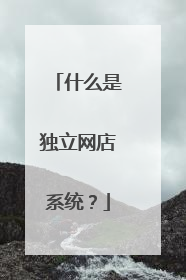 什么是独立网店系统?