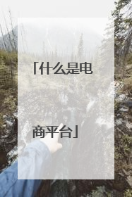 什么是电商平台