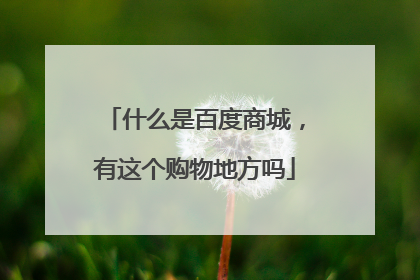 什么是百度商城,有这个购物地方吗
