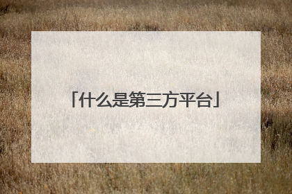 什么是第三方平台