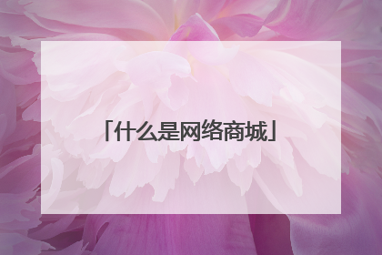 什么是网络商城