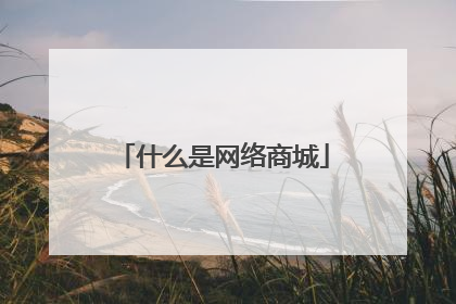 什么是网络商城