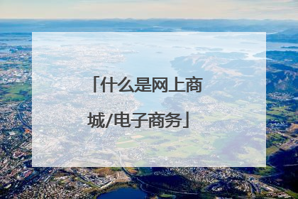 什么是网上商城/电子商务