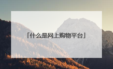 什么是网上购物平台