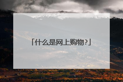 什么是网上购物?