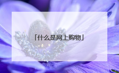 什么是网上购物