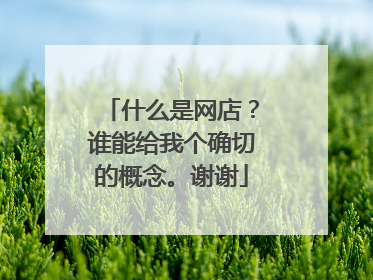 什么是网店?谁能给我个确切的概念。谢谢