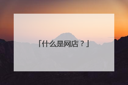 什么是网店?