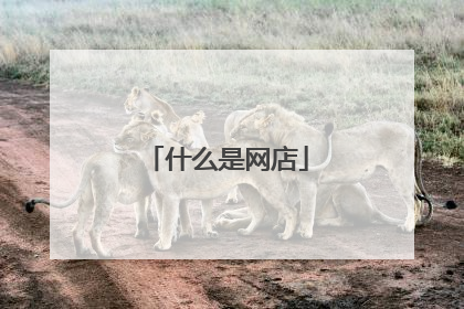 什么是网店