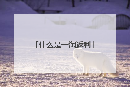 什么是一淘返利