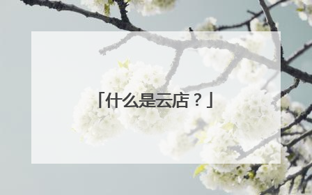 什么是云店?