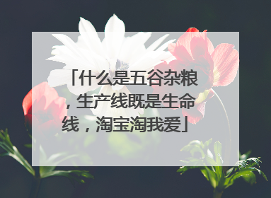 什么是五谷杂粮,生产线既是生命线,淘宝淘我爱