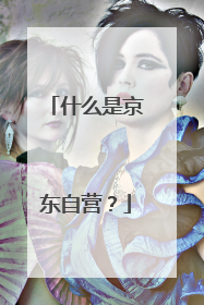 什么是京东自营？