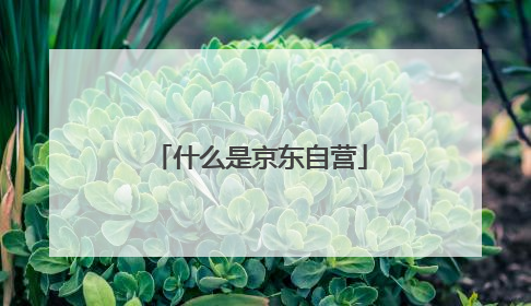 什么是京东自营