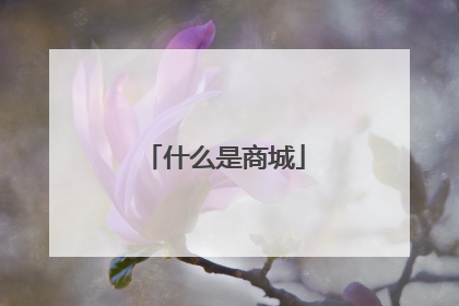 什么是商城