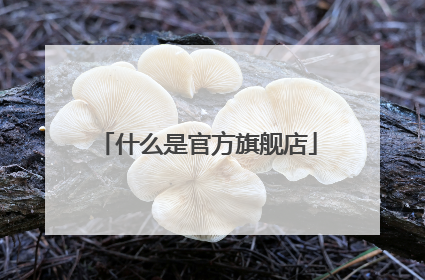 什么是官方旗舰店