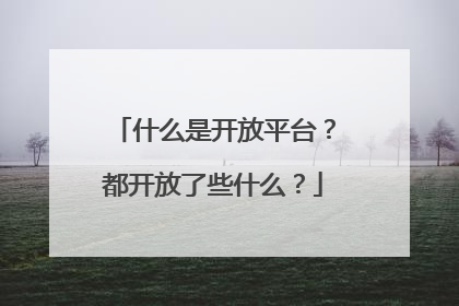 什么是开放平台?都开放了些什么?