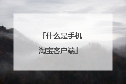 什么是手机淘宝客户端