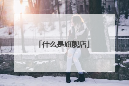 什么是旗舰店