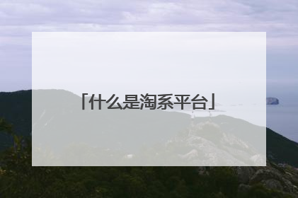 什么是淘系平台