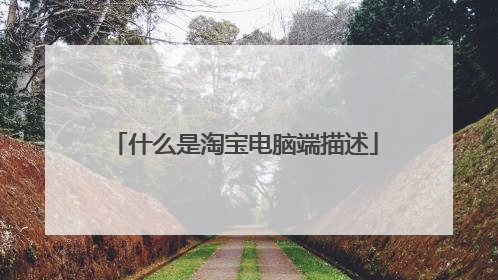 什么是淘宝电脑端描述