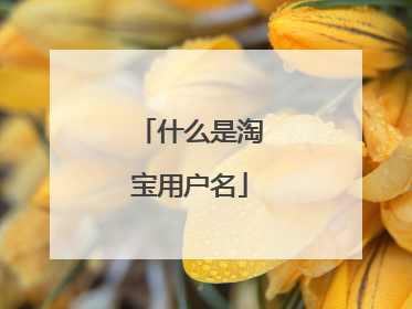 什么是淘宝用户名