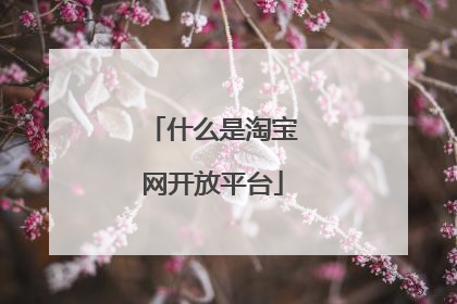什么是淘宝网开放平台