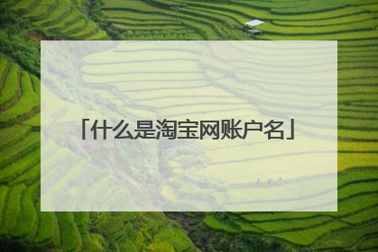 什么是淘宝网账户名