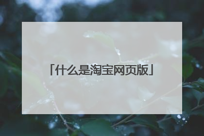 什么是淘宝网页版