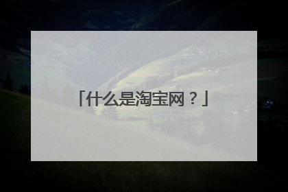 什么是淘宝网?