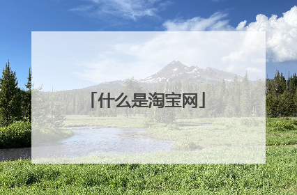 什么是淘宝网