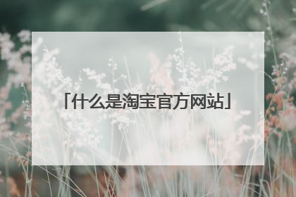 什么是淘宝官方网站