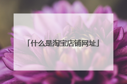 什么是淘宝店铺网址
