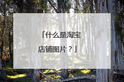 什么是淘宝店铺图片?
