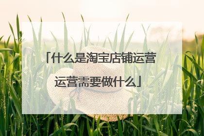 什么是淘宝店铺运营 运营需要做什么