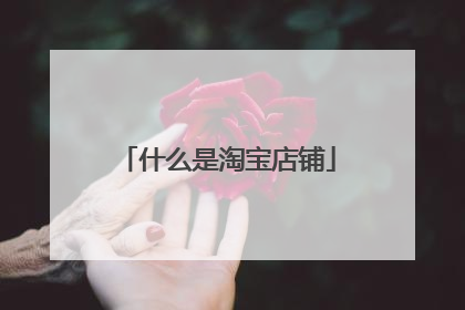 什么是淘宝店铺