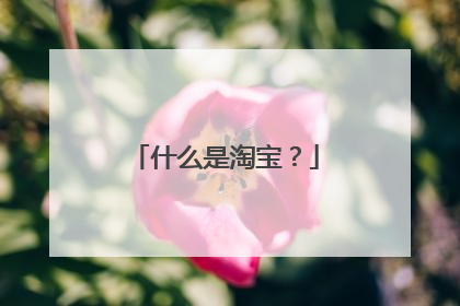 什么是淘宝？