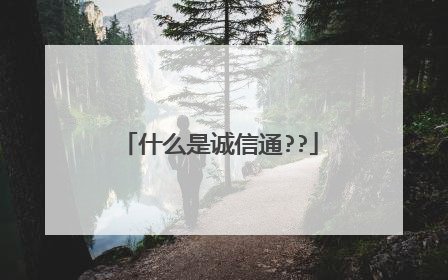 什么是诚信通??