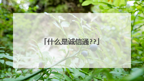 什么是诚信通??