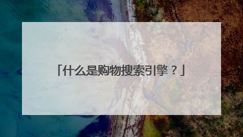 什么是购物搜索引擎?
