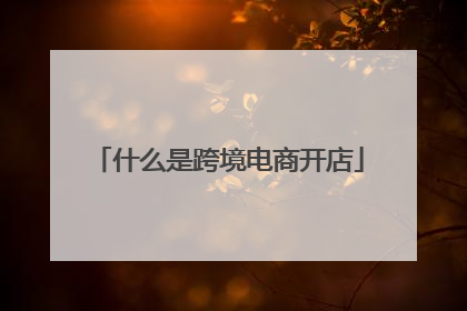 什么是跨境电商开店