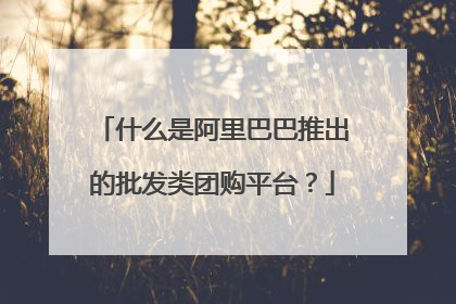 什么是阿里巴巴推出的批发类团购平台?