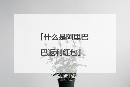 什么是阿里巴巴返利红包