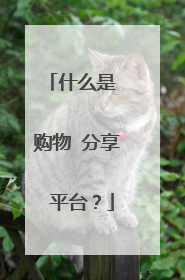 什么是 购物 分享 平台?