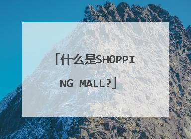 什么是SHOPPING MALL?