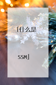 什么是SSM