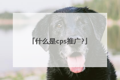 什么是cps推广?