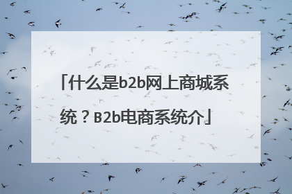 什么是b2b网上商城系统?B2b电商系统介