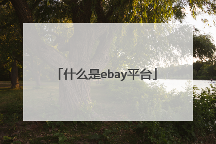 什么是ebay平台