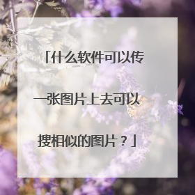 什么软件可以传一张图片上去可以搜相似的图片?